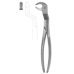 Tooth Extracting Forceps